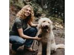Experienced and Reliable House Sitter in Boring, Oregon - Book Now for Peace of