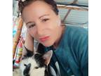 Italian female based in UK often abroad South America offering pet sitting and