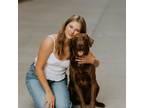 Experienced and Reliable Pet Sitter in La Crosse, Wisconsin - Your Pet's Home