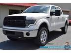 Used 2010 FORD F150 For Sale