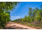 Land for Sale by owner in Pinetta, FL
