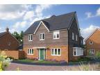 Home 231 - The Chestnut Albany Park, Church Crookham New Homes For Sale in