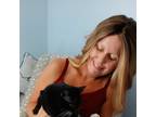 House and/or cat Sitter in Fort Myers, FL Reliable, Trustworthy, and Affordable.