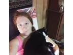 Chambersburg Pet Sitter - Reliable, Affordable, & Loving Care