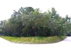 Plot For Sale In Silver Springs, Florida