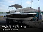 21 foot Yamaha FSH210