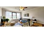 Condominium - Jacksonville, FL 311 W Ashley St #1206