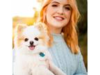 Experienced and Reliable Pet Sitter in Kennewick, WA $16.5/Hour