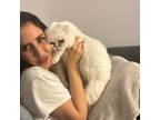 Experienced Pet Sitter in Montreal, Quebec - Trustworthy & Affordable