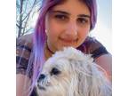 Experienced & Reliable Pet Sitter in Nepean, Ontario $20/hr
