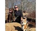 Experienced and Reliable Dog Lover in Bronxville, New York!