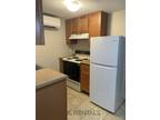 Waltham - Adorable, cozy, renovated lower level 1 bedroom unit with off street