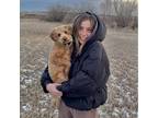 Trustworthy Pet Sitter in Saskatoon, Saskatchewan - $20 Daily!