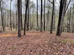 LOT 3 SHORESIDE AT SIPSEY, Double Springs, AL 35553 633307205