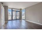 River North 1 bedroom - amazing location 509 N State St #3002