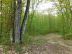 Frederic, Crawford County, MI Undeveloped Land for sale Property ID: 419261054