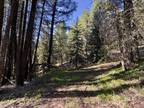 Plot For Sale In High Valley, Idaho