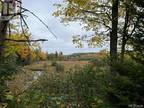 Lot Route 690, Flowers Cove, NB, O0O 0O0 - vacant land for sale Listing ID
