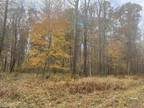 Bruceton Mills, Preston County, WV Undeveloped Land for sale Property ID: