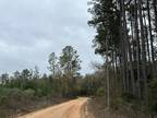 Tract#6411 S White Road S, Chipley, FL 32428 - MLS 945788