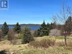 0 Main Road, Lower Lance Cove, NL, A5A 1A1 - vacant land for sale Listing ID