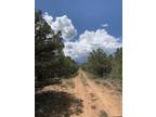 Plot For Sale In Ridgway, Colorado