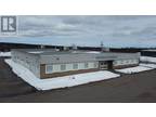 60 Hardy Avenue, Grand Falls-Windsor, NL, A2A 2P9 - commercial for sale Listing