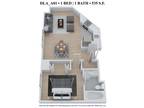 Delmar Apartments - One Bedroom One Bath - DLA535