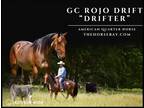 Meet Drifter Bay Roan AQHA Gelding - Available on [url removed]