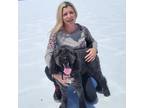 Experienced Pet Sitter in Spring Creek, NV Trustworthy Care at $20/Hour