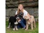 Experienced Pet Sitter in Kennebunk, Maine - $50 Daily Rate - Trustworthy and