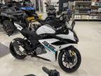 2024 CFMOTO 300SS Motorcycle for Sale