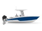 2024 WELLCRAFT 243 Fisherman Boat for Sale