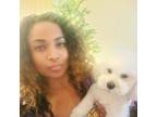 Experienced House Sitter in Marina Del Rey, CA Trustworthy & Affordable!