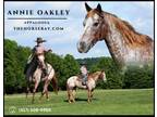 Meet Annie Oakley Red Roan Appaloosa Mare - Available on [url removed]