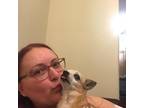 Experienced Pet Sitter in Edmonton, Alberta - Providing Reliable and Loving