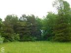 Plot For Sale In Dryden, Michigan
