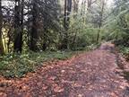Plot For Sale In Rhododendron, Oregon