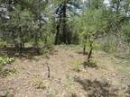 Plot For Sale In Pagosa Springs, Colorado