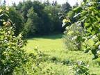 Lot Trans Canada Highway, Orwell Cove, PE, C0A 2E0 - vacant land for sale