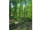 Plot For Sale In Hartwick, New York