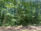 Plot For Sale In Ruther Glen, Virginia