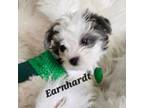 Earnhardt 9 weeks