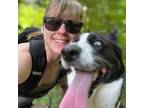 Experienced Pet Sitter in Delaware, Ohio - Trustworthy and Affordable Care