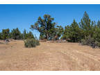 Northern California Land 1.59 Acres, Private and Quiet