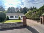 Broomwell Gardens, Monikie, Angus 3 bed semi-detached bungalow to rent -