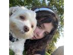 Experienced Pet Sitter in Guelph, Ontario Trustworthy Care at $30 Daily