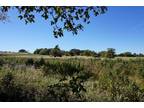 Plot For Sale In Naples, Texas