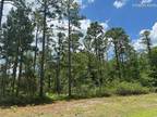 Plot For Sale In Boiling Spring Lakes, North Carolina