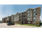 Two Bedroom One Bath - Edmonton Pet Friendly Apartment For Rent Silver Berry